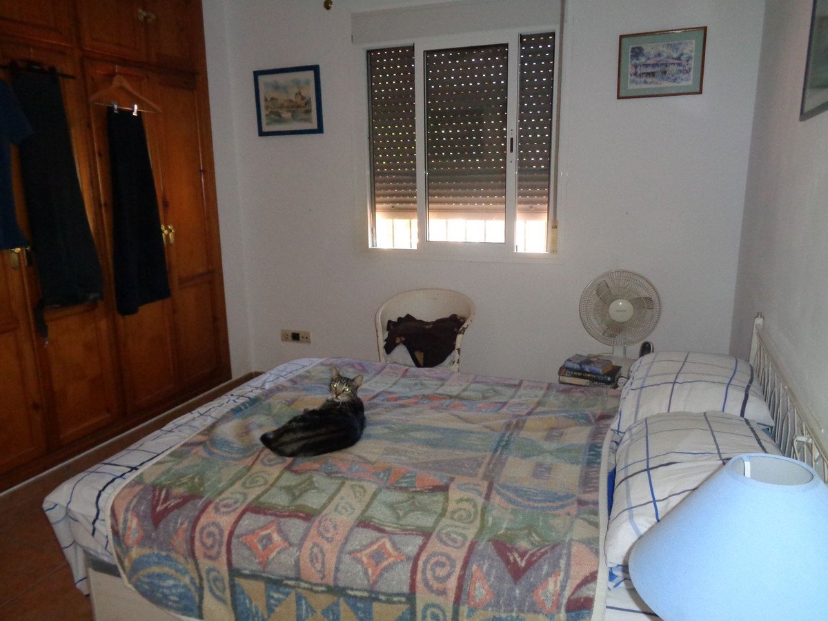 3 Bed Finca - Cortijo in Alhaurín de la Torre