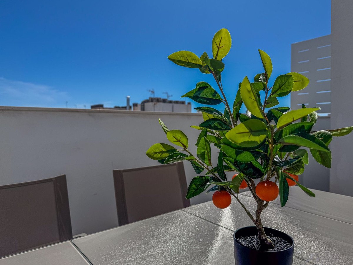 3 Bed Top Floor Apartment in Torrevieja
