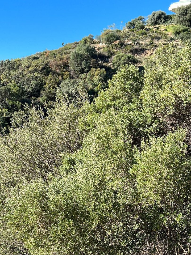 Residential Plot in Altos de los Monteros