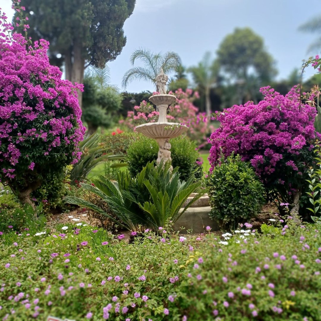 2 Bed Penthouse in Estepona
