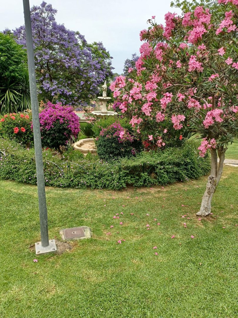 2 Bed Penthouse in Estepona