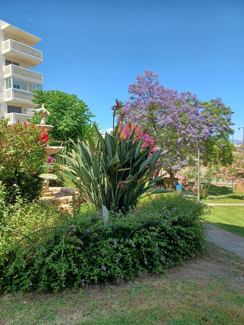2 Bed Penthouse in Estepona