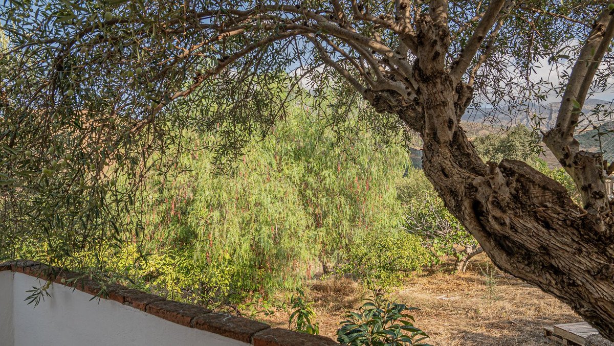 3 Bed Detached Villa in Alora