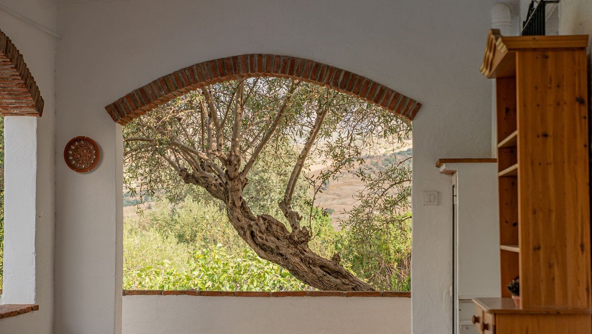 3 Bed Detached Villa in Alora