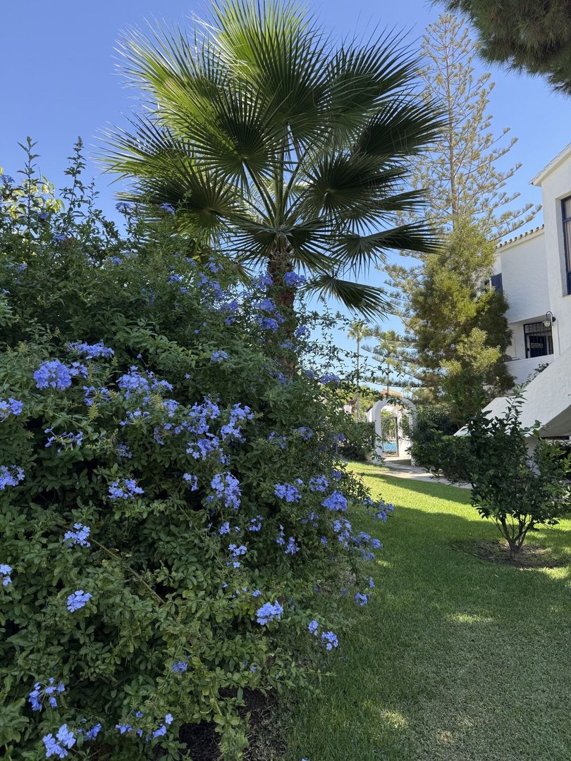2 Bed Townhouse in Calahonda