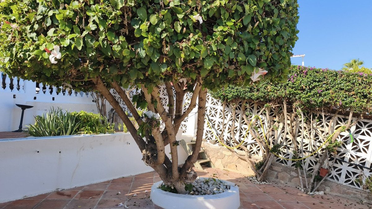 6 Bed Detached Villa in Mijas Costa