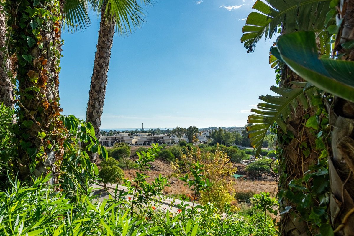 3 Bed Ground Floor Apartment in Nueva Andalucía