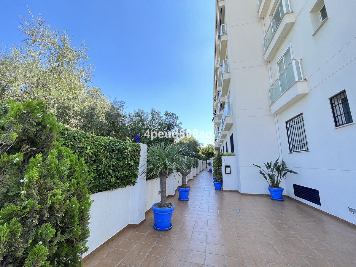 Middle Floor Studio in El Rosario