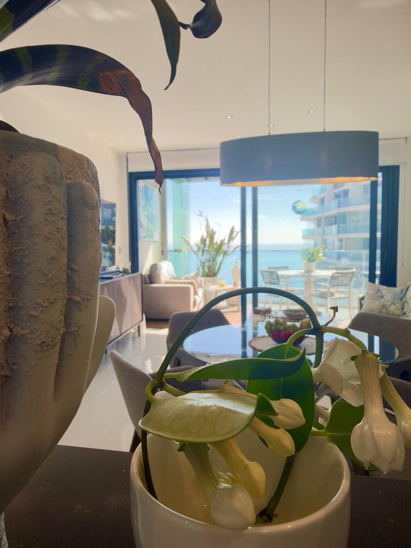 2 Bed Middle Floor Apartment in Punta Prima