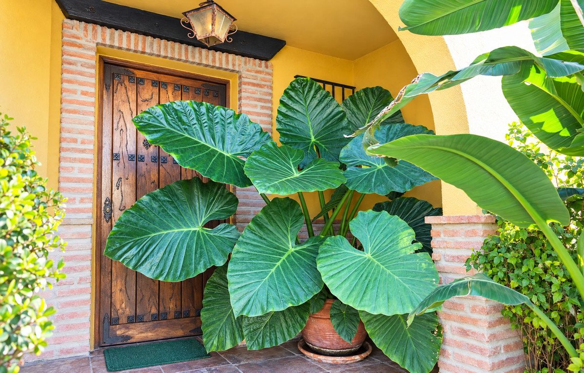 4 Bed Townhouse in Casares Playa