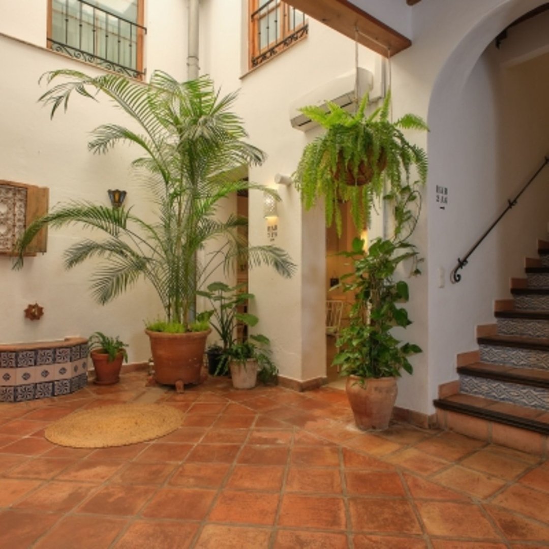 8 Bed Hotel in Marbella