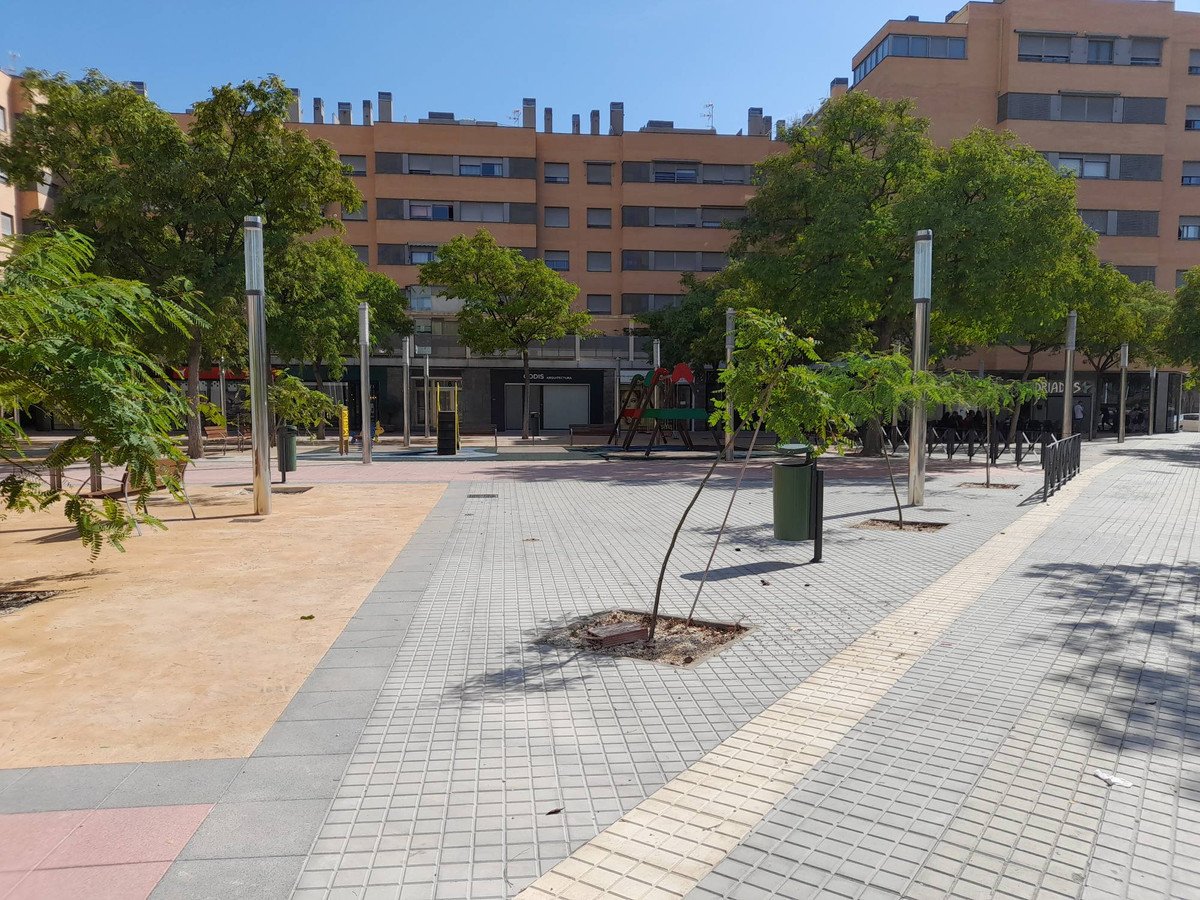 Restaurant in Elche