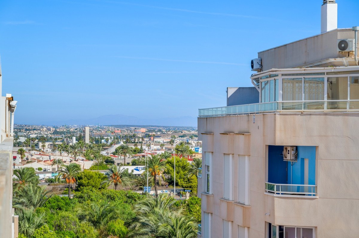 2 Bed Ground Floor Apartment in Torrevieja