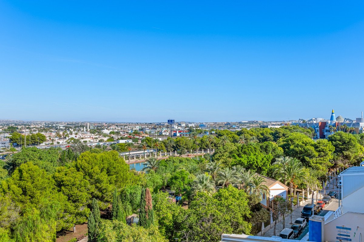 2 Bed Ground Floor Apartment in Torrevieja