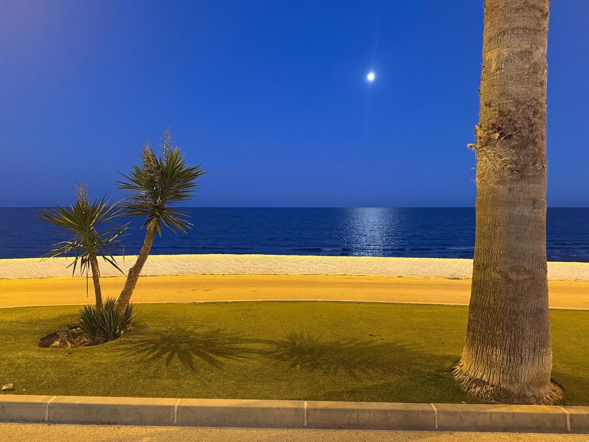 2 Bed Bungalow in Mil Palmeras