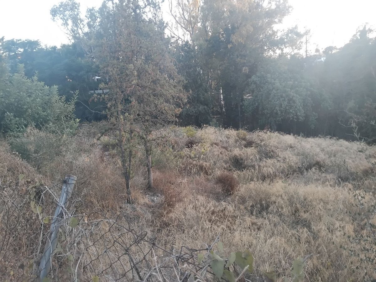Residential Plot in La Quinta
