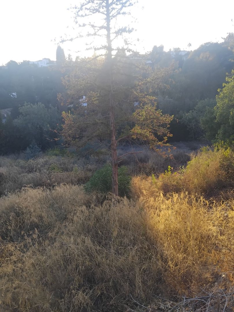 Residential Plot in La Quinta