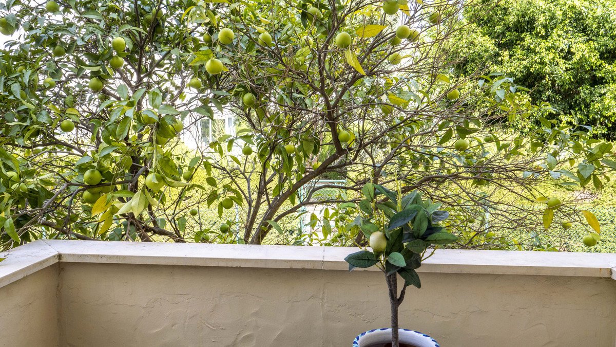 2 Bed Middle Floor Apartment in Estepona