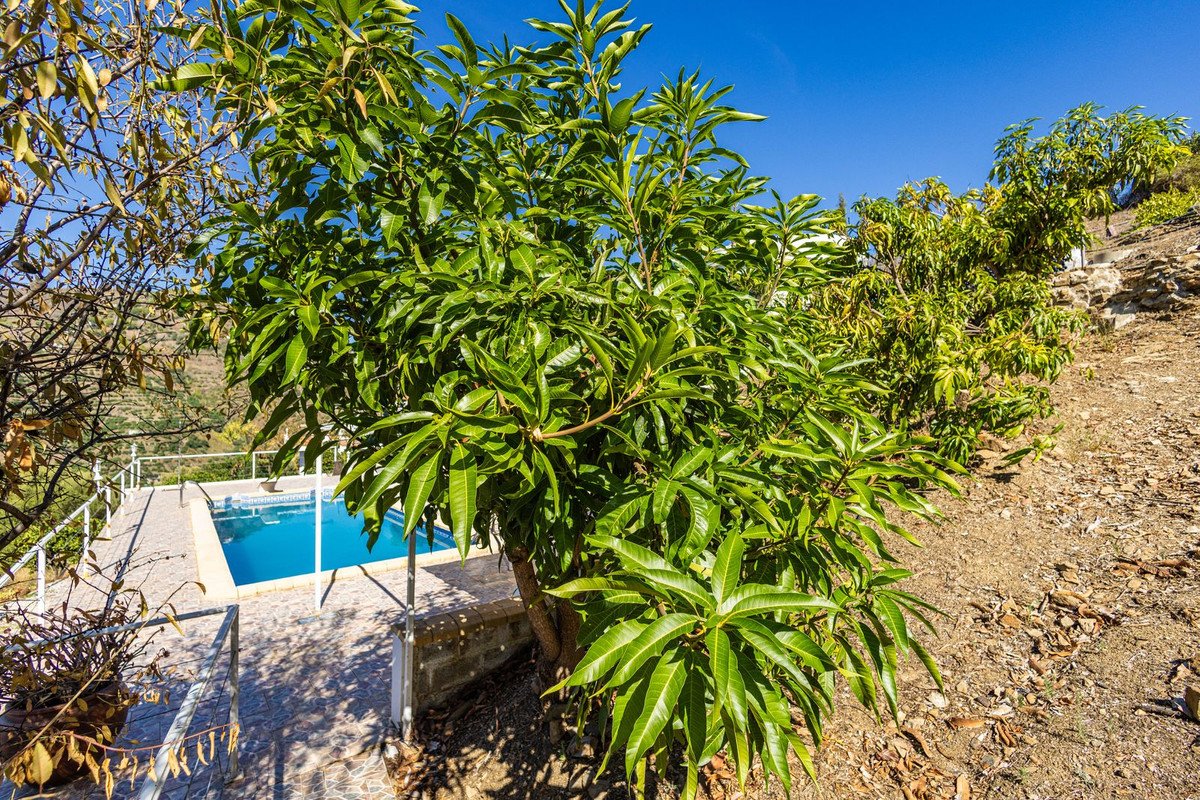 2 Bed Detached Villa in Cómpeta