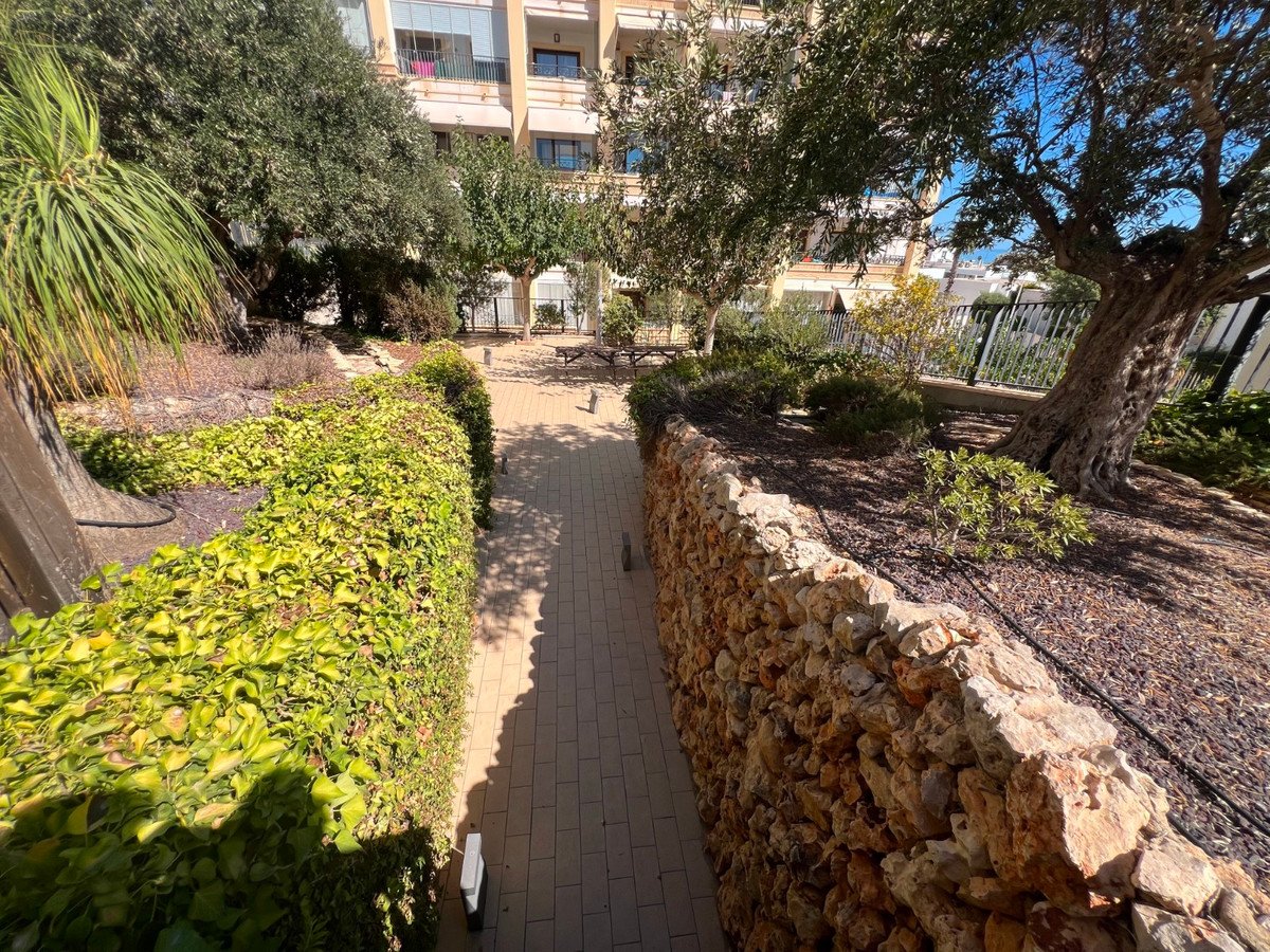 3 Bed Ground Floor Apartment in Guardamar del Segura