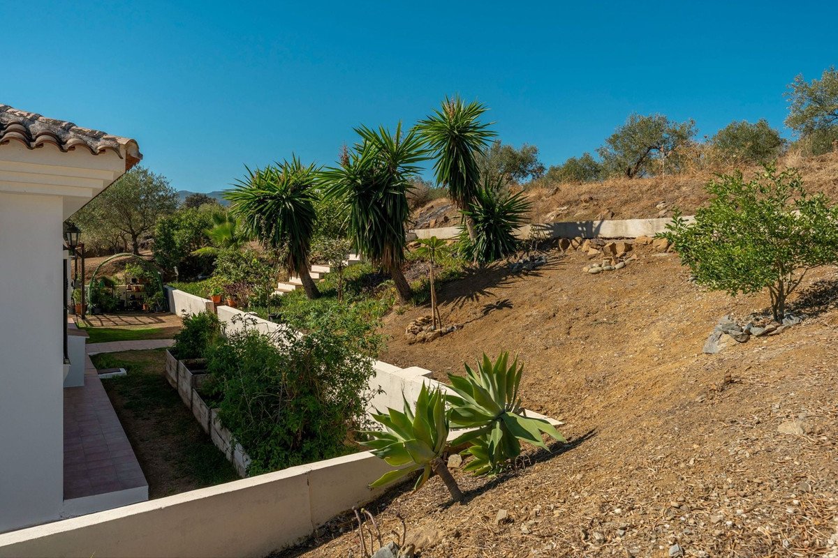 3 Bed Detached Villa in Tolox