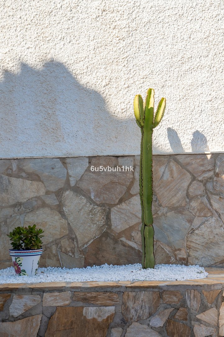 5 Bed Detached Villa in Fuengirola