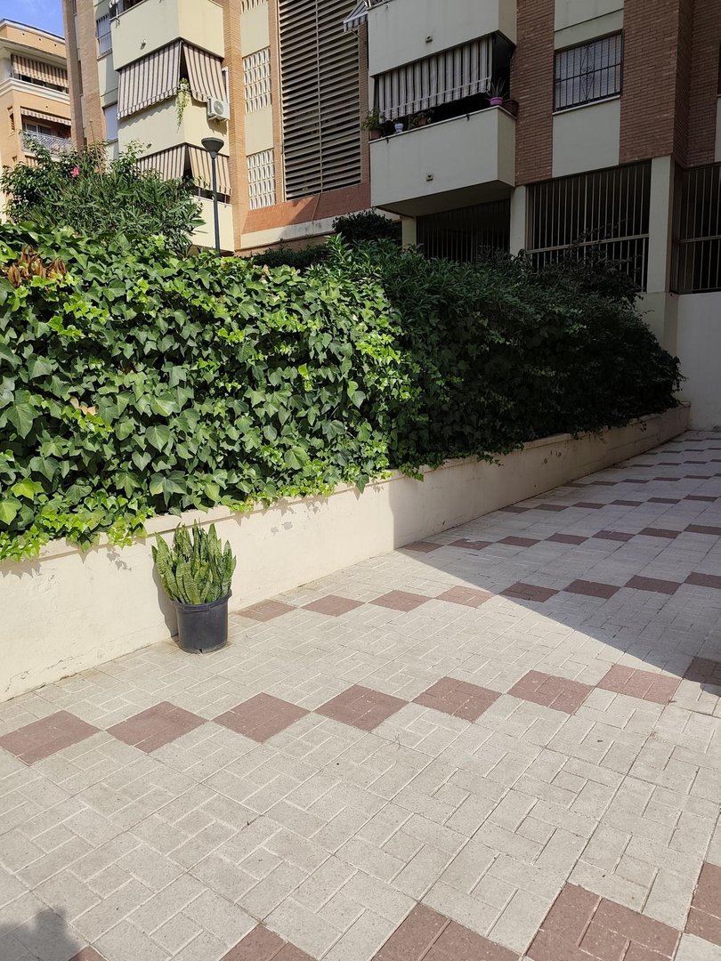 4 Bed Ground Floor Apartment in Ciudad Jardín