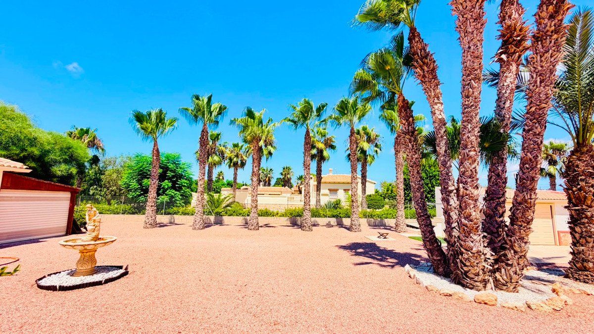 5 Bed Detached Villa in Daya Vieja