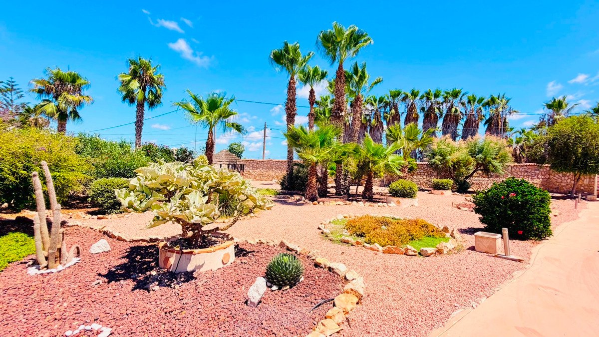 5 Bed Detached Villa in Daya Vieja