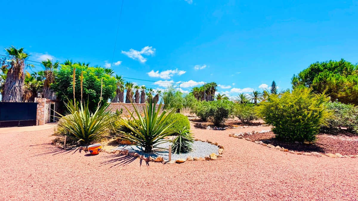 5 Bed Detached Villa in Daya Vieja
