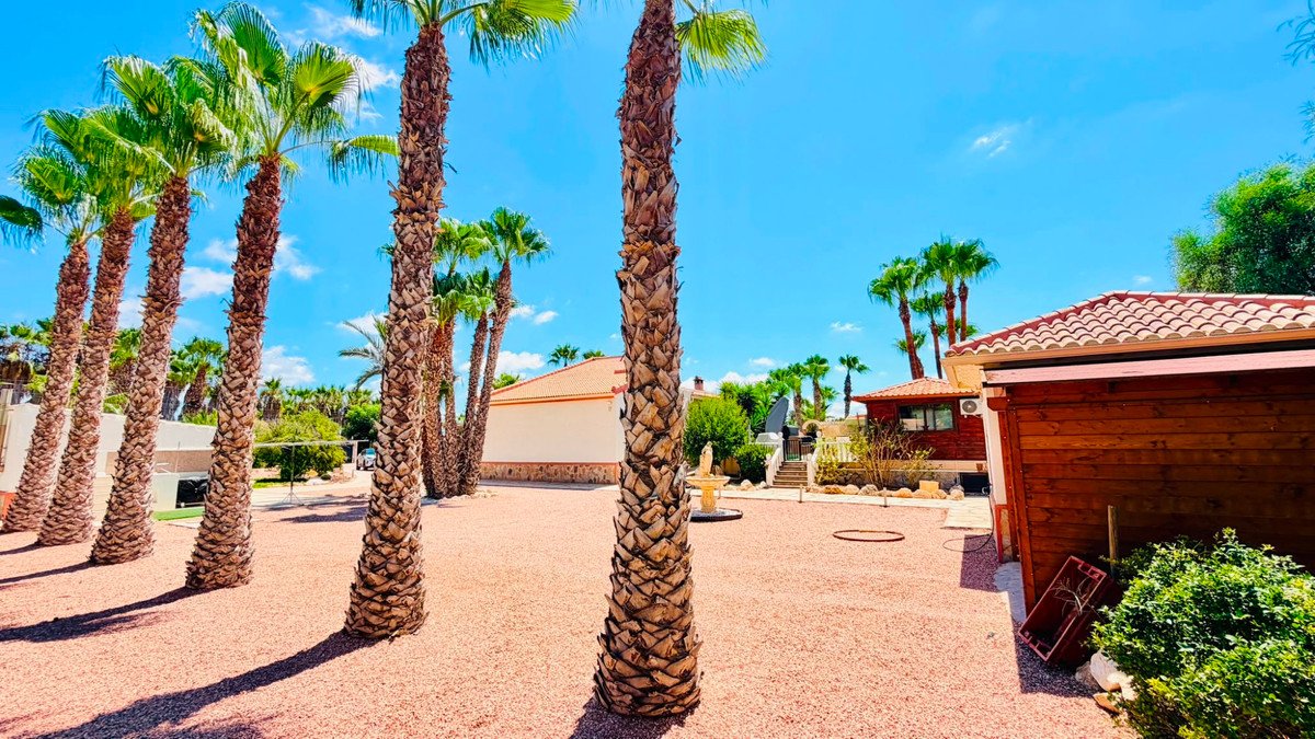 5 Bed Detached Villa in Daya Vieja
