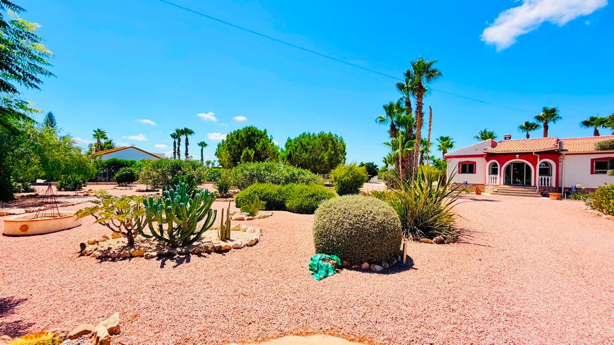 5 Bed Detached Villa in Daya Vieja