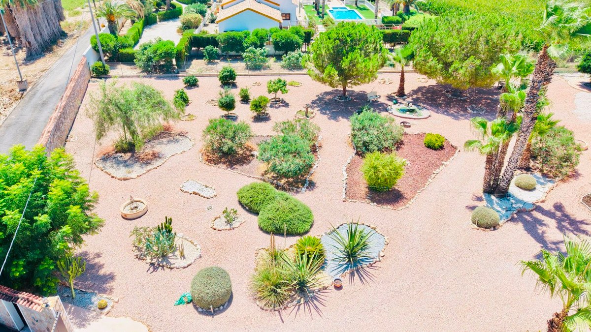 5 Bed Detached Villa in Daya Vieja