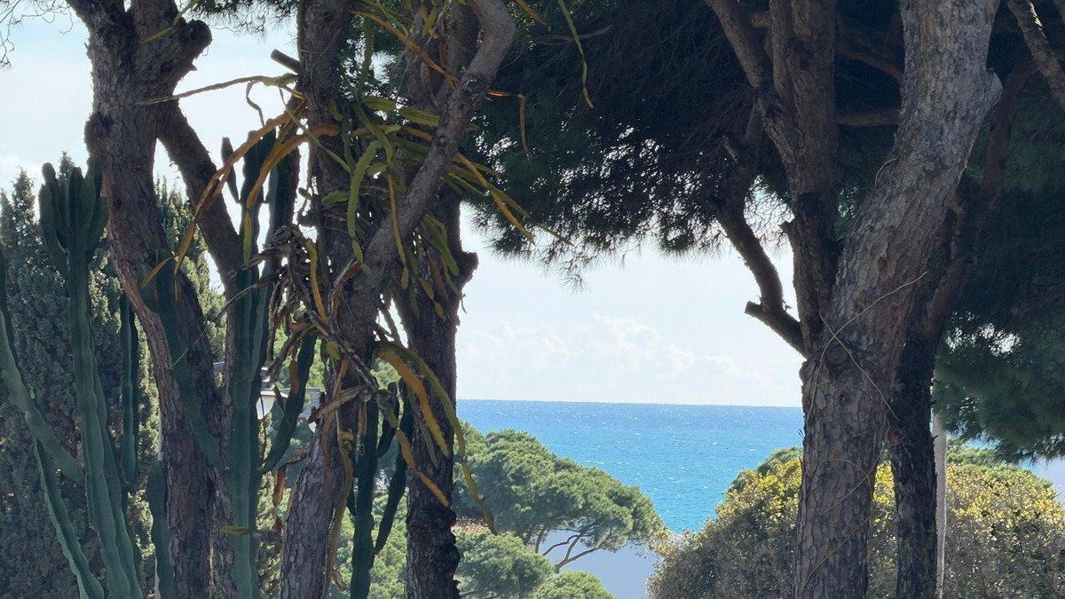 20 Bed Hotel in Calahonda