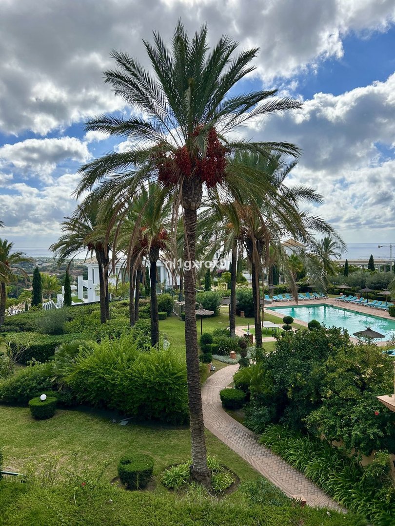 3 Bed Penthouse Duplex in Málaga
