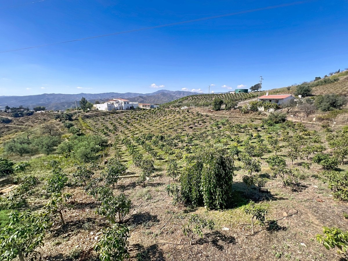 6 Bed Finca - Cortijo in Benamargosa