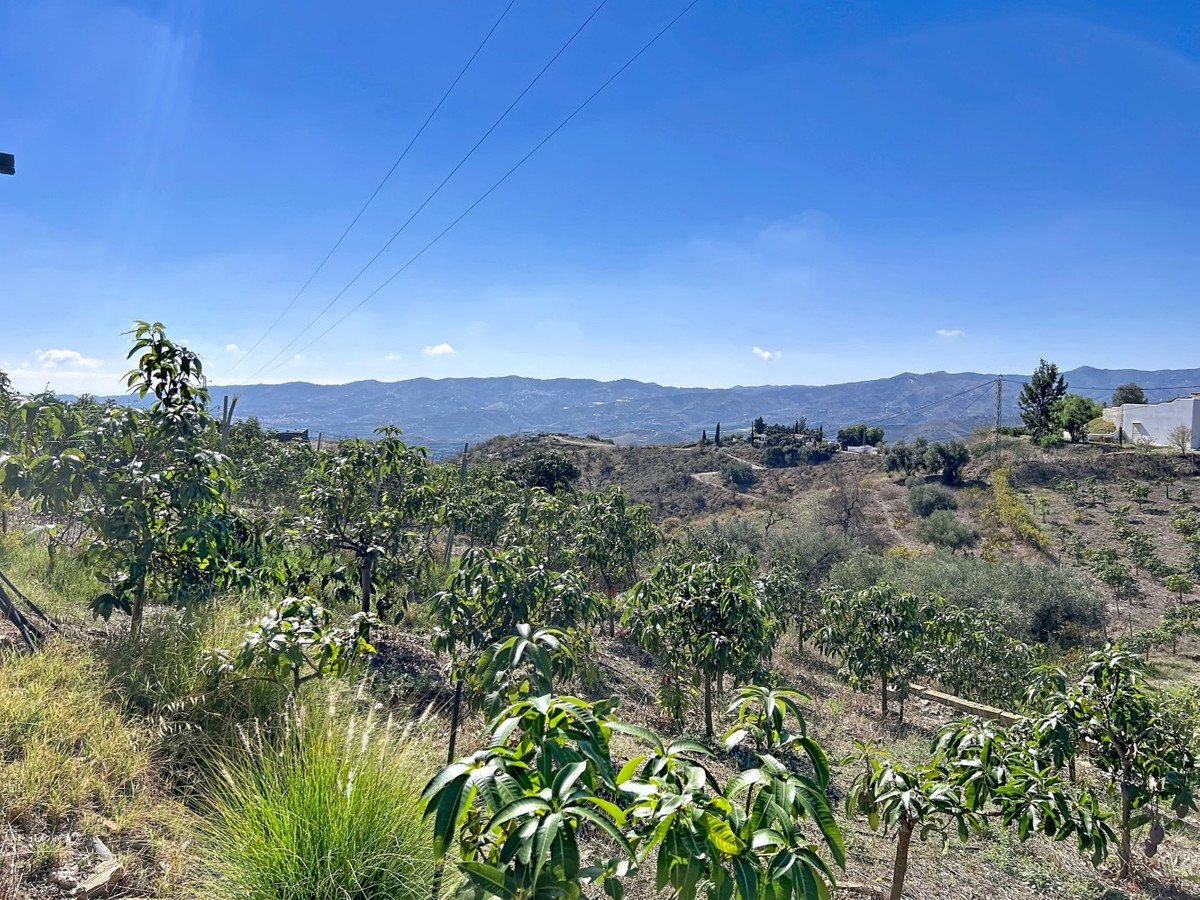 6 Bed Finca - Cortijo in Benamargosa