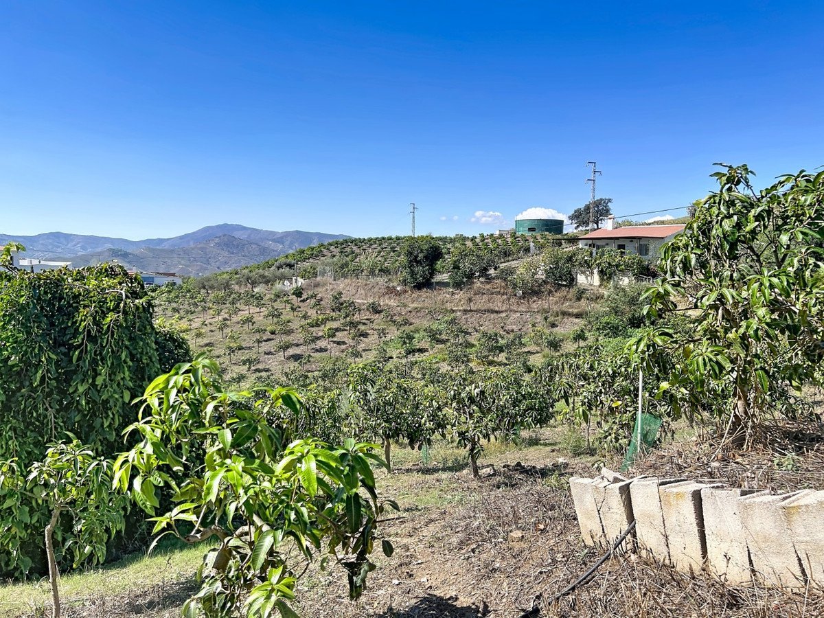 6 Bed Finca - Cortijo in Benamargosa