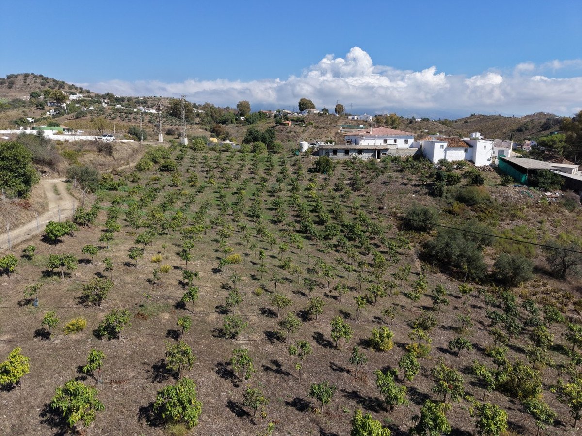 6 Bed Finca - Cortijo in Benamargosa