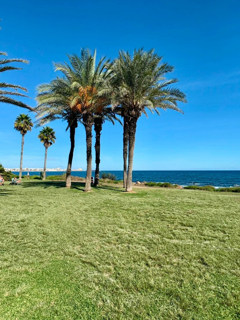 2 Bed Ground Floor Apartment in La Veleta