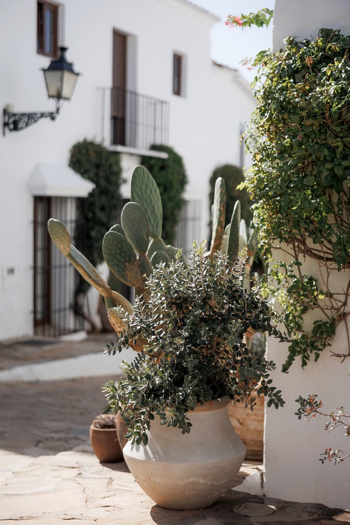 2 Bed Townhouse in Nueva Andalucía