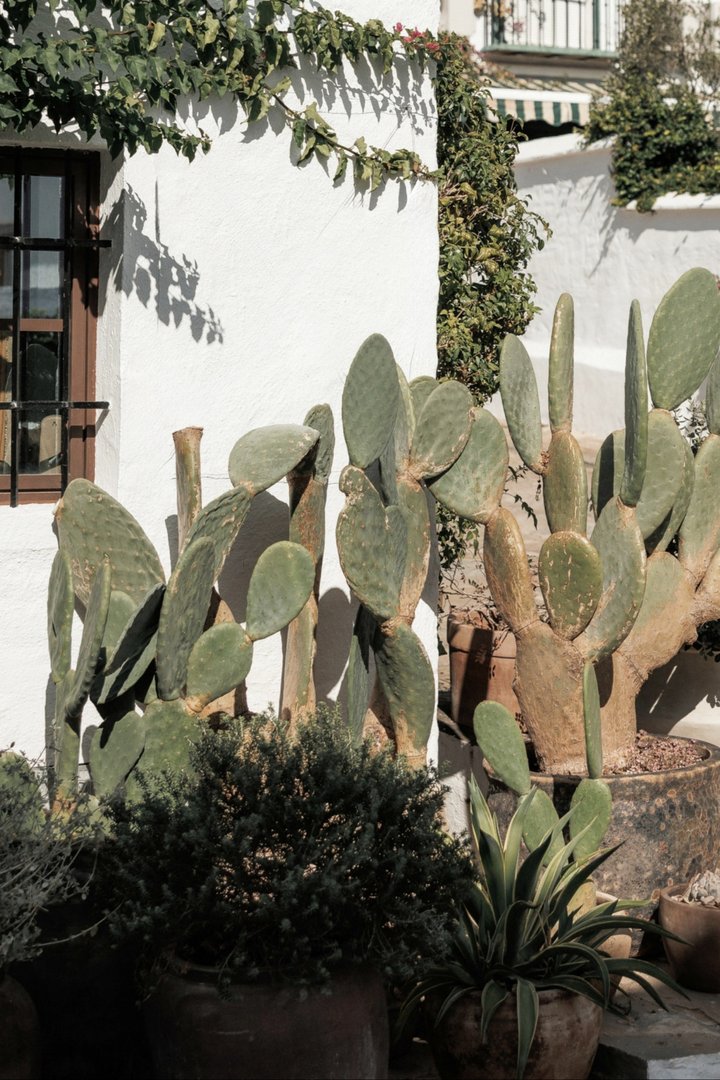 2 Bed Townhouse in Nueva Andalucía