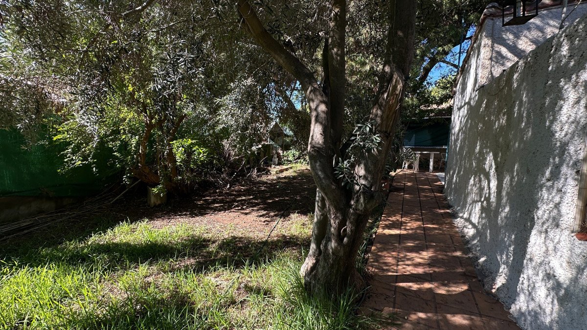 4 Bed Detached Villa in Punta Prima