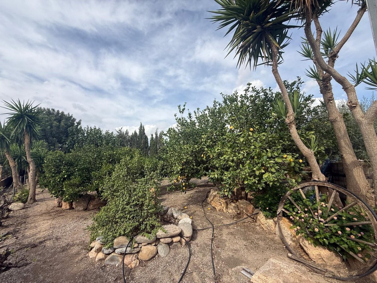 7 Bed Finca - Cortijo in Albox