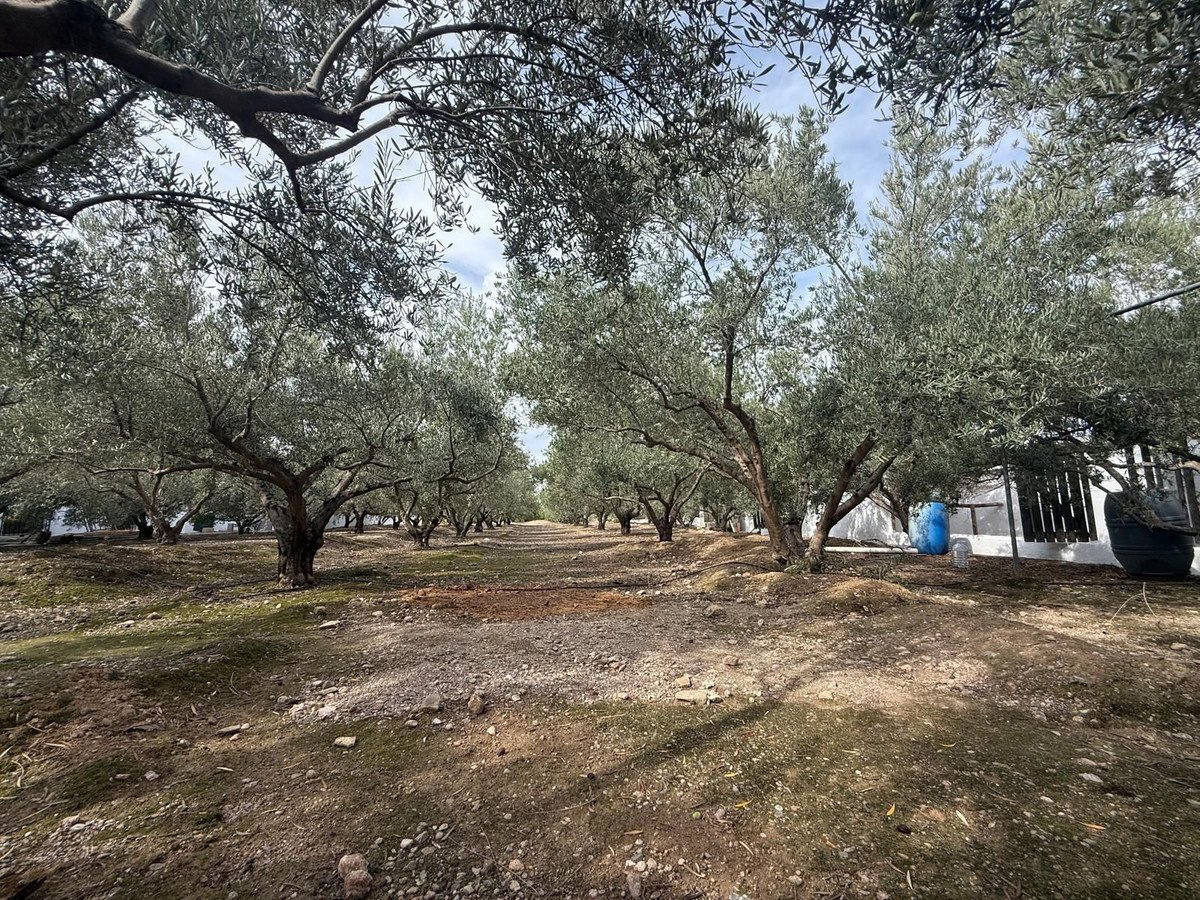 7 Bed Finca - Cortijo in Albox