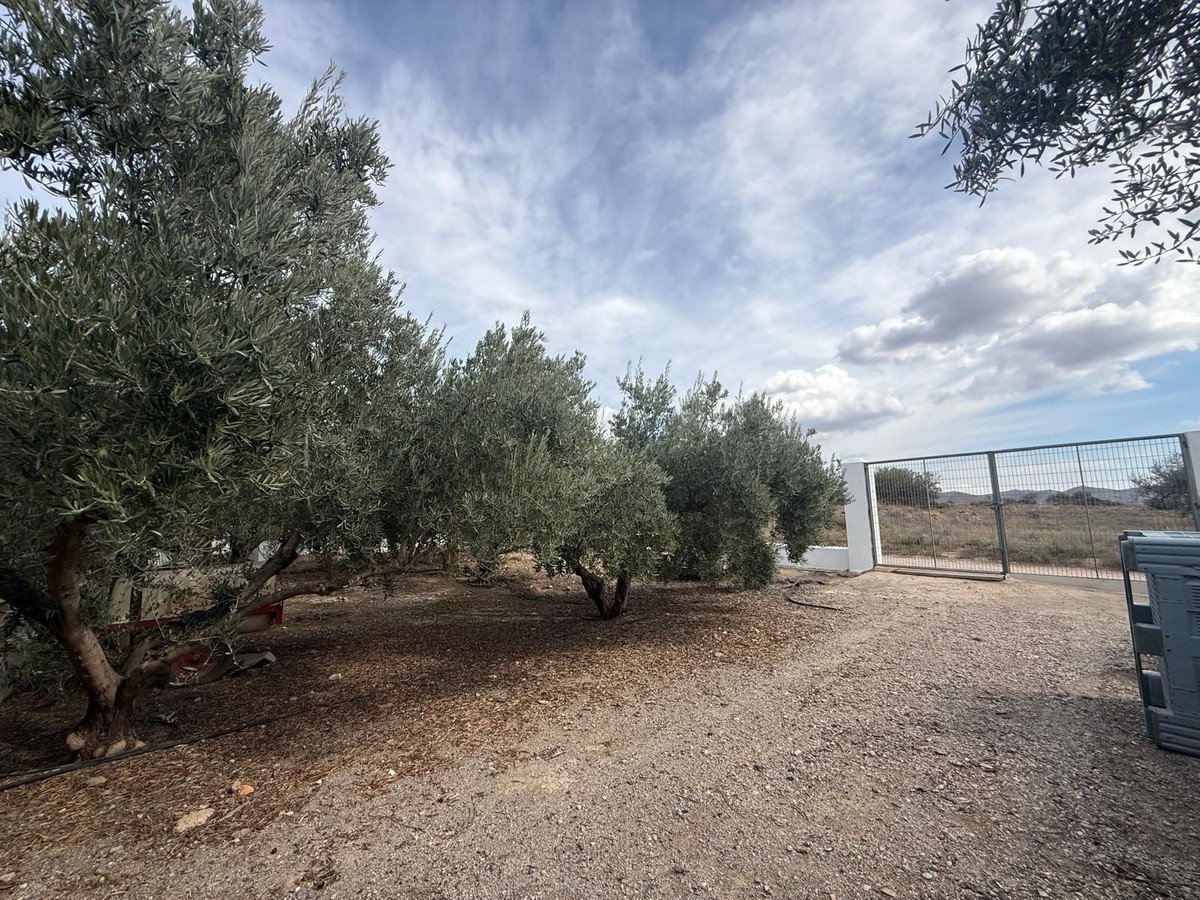 7 Bed Finca - Cortijo in Albox