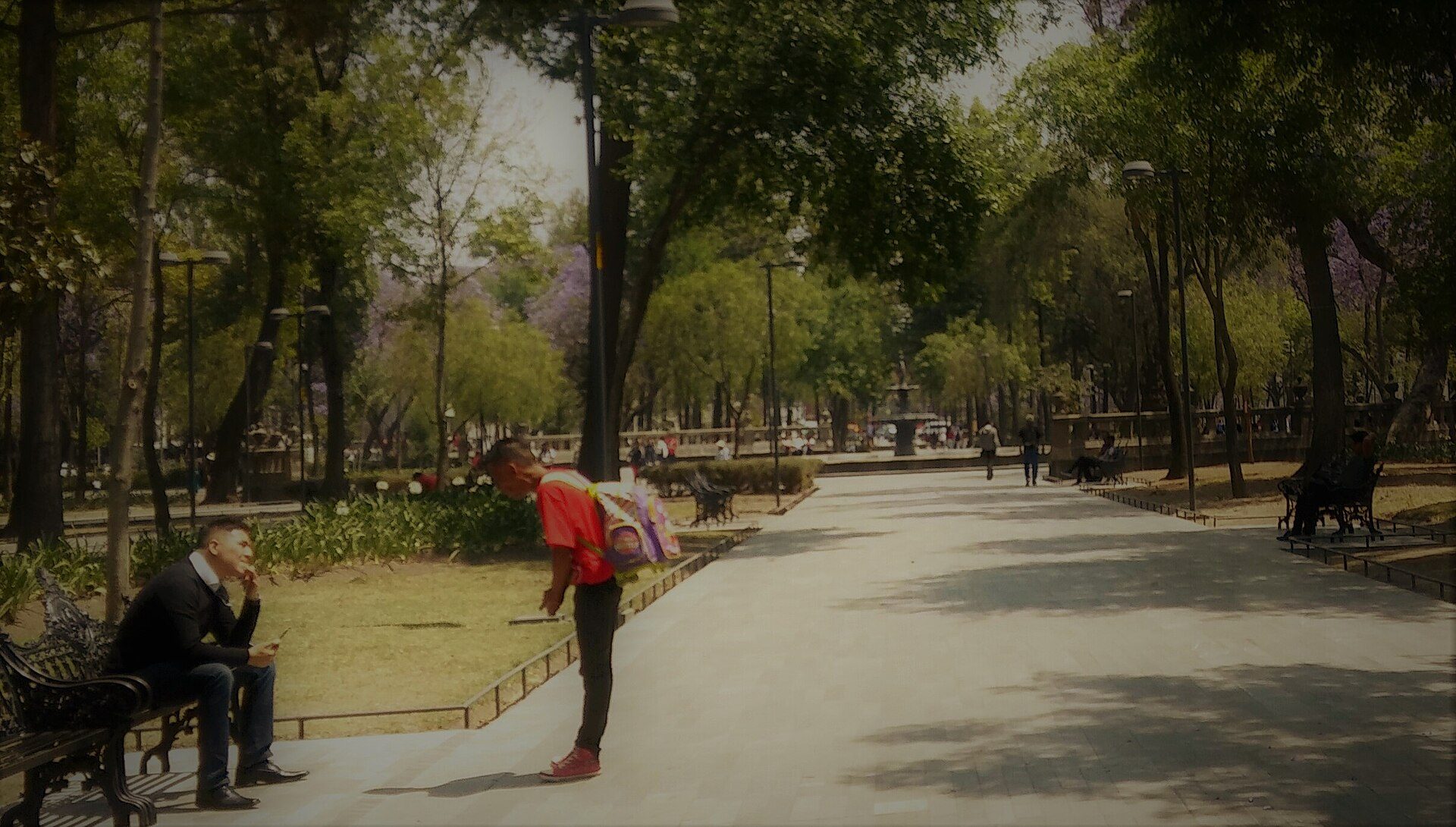 A park scene with people walking, benches, and lush green trees.