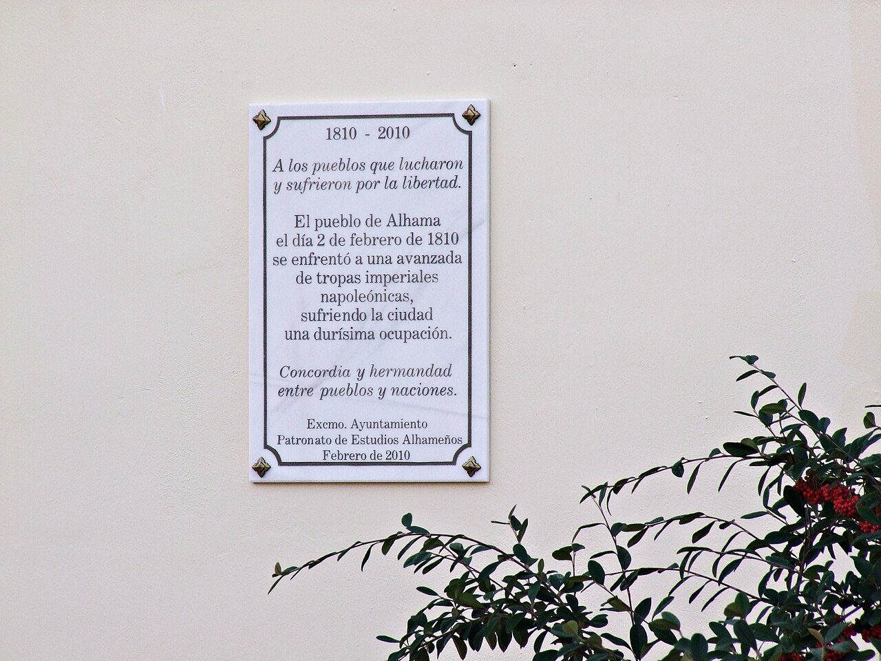 A los pueblos que lucharon y sufrieron por la libertad. 
Plaque posted by the Ci