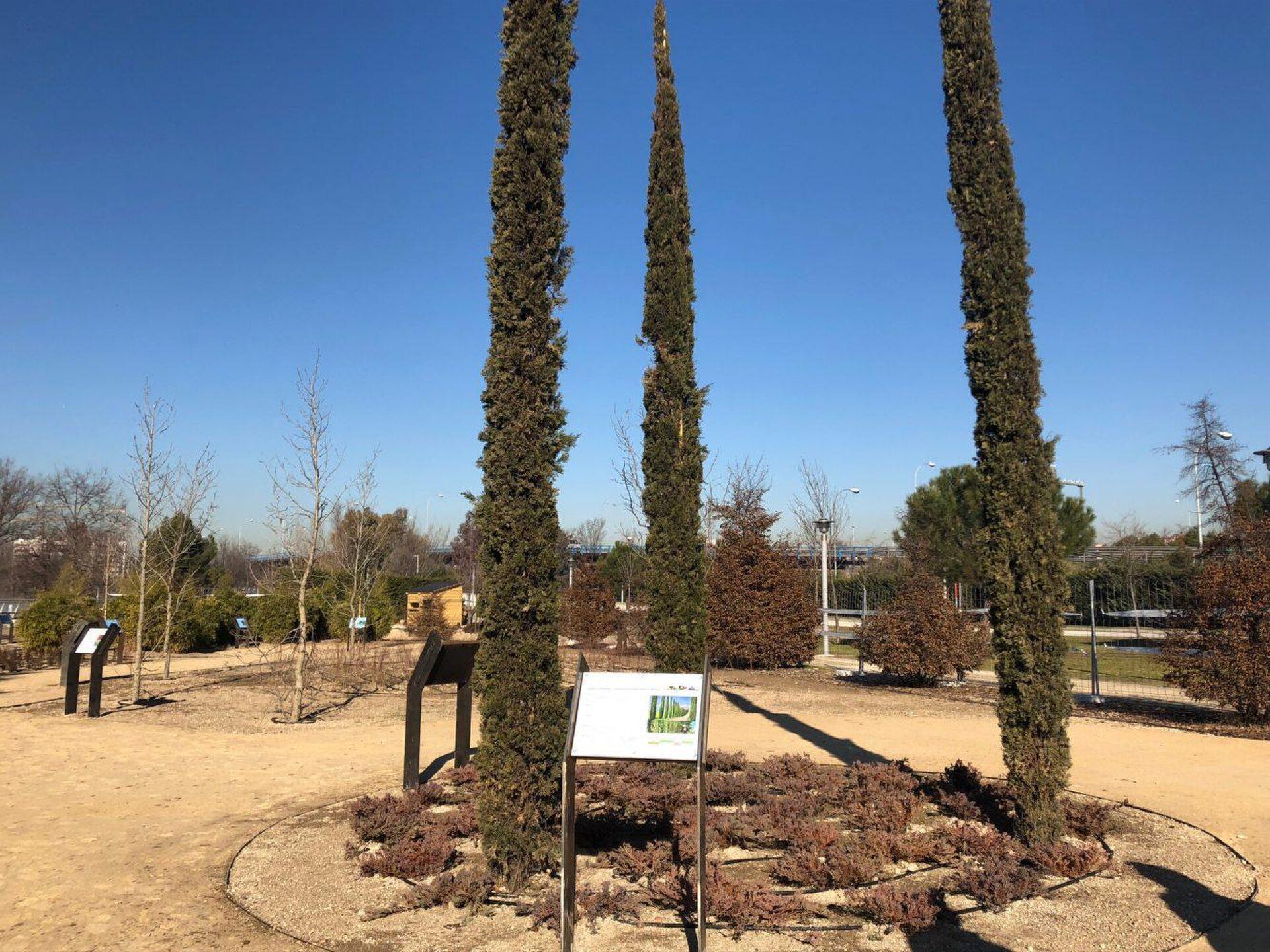 Alt text: Outdoor garden with tall cypress trees, clear blue sky, and informational sign.