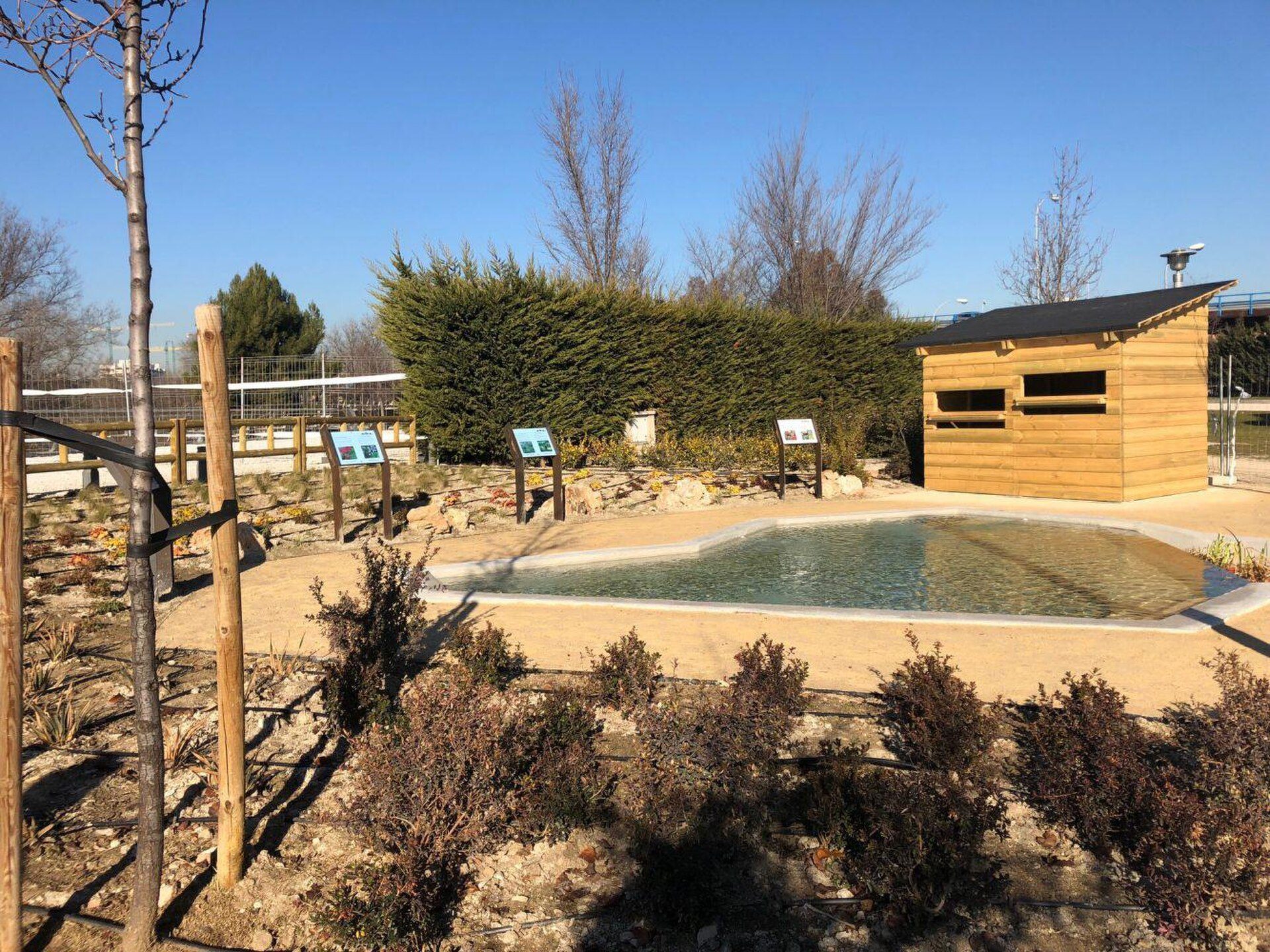 Outdoor pool area with wooden deck, surrounded by shrubs and trees, clear blue sky.